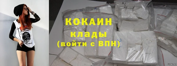 прущие грибы Лиски