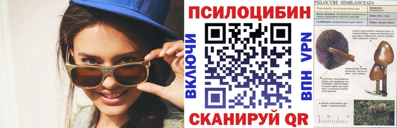 Галлюциногенные грибы MAGIC MUSHROOMS Фёдоровский